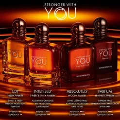 Stronger With You Armani Parfum Spray 100ml Sale