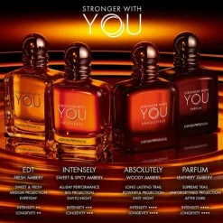 Stronger With You Absolutely Armani Eau de Parfum Spray 100ml Outlet