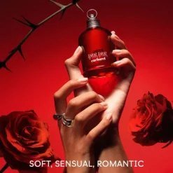 Amor Amor Cacharel Eau de Toilette Spray 100ml Fashion
