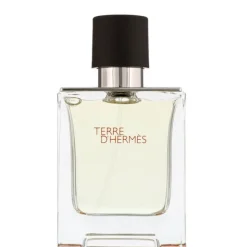 Terre d’Hermes Hermès Terre d'Hermes Eau de Toilette Spray 50ml Clearance