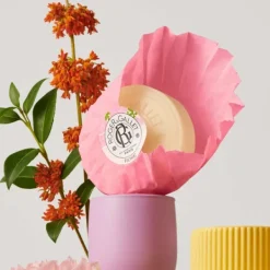 Rose Roger & Gallet Wellbeing Soaps Coffret 3x100g Clearance