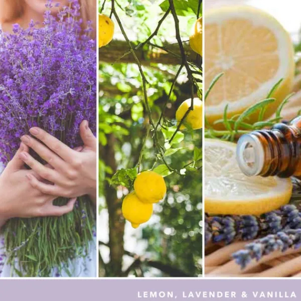 Signature Jar Candle Yankee Candle Large Jar Lemon Lavender 567g Fashion