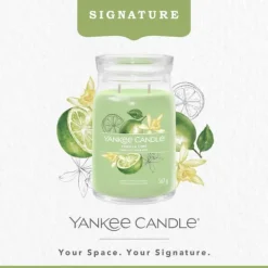 Signature Jar Candle Yankee Candle Large Jar Vanilla Lime 567g Best