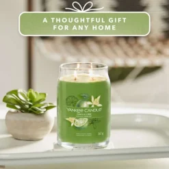 Signature Jar Candle Yankee Candle Large Jar Vanilla Lime 567g Best
